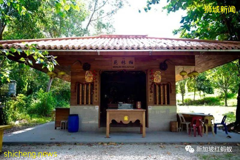 新加坡这些别有洞天的小众景点 稍不留神就会错过