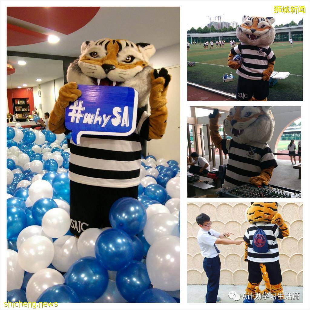 新加坡圣安德烈初级学院(SAJC)简介