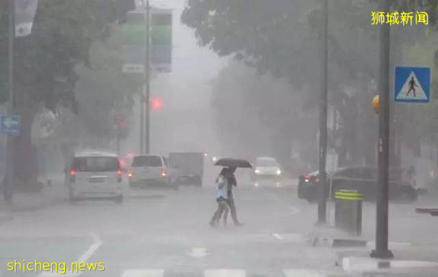 又“狂”又“野”的新加坡奇景!天氣多變,生態豐富!