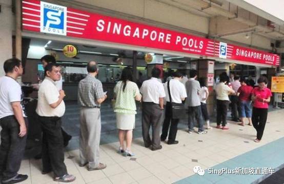 2021年，新加坡首個1100萬頭獎錦鯉出現了！趕緊來蹭好運,吸歐氣