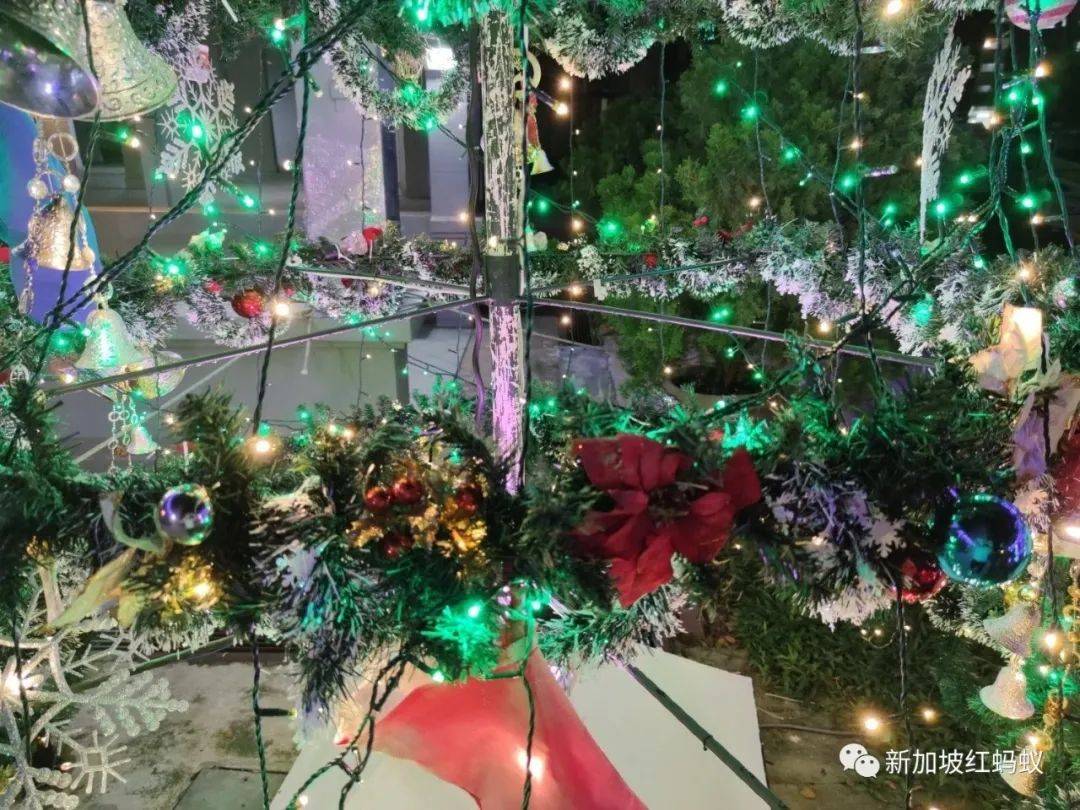 無須到烏節路人擠人，也能在組屋區感受溫馨的聖誕氛圍