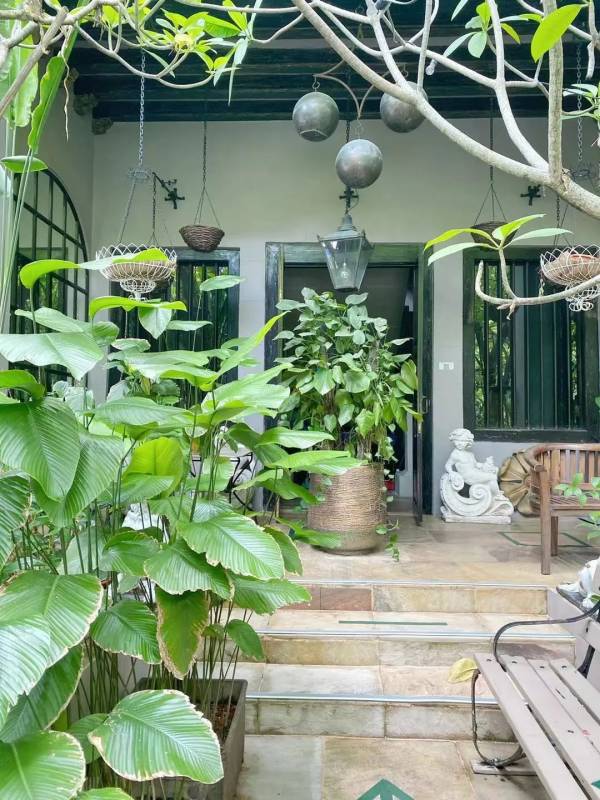 新加坡 不能错过的高颜值打卡地攻略(上)