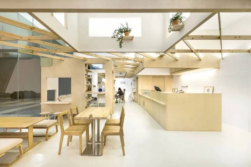 狮城美味 !隐秘的角落第二弹——不容错过的好店