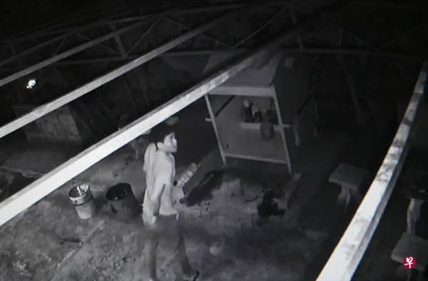 “捂脸贼”潜庙宇偷香油钱 被守夜叔撞见跳窗逃