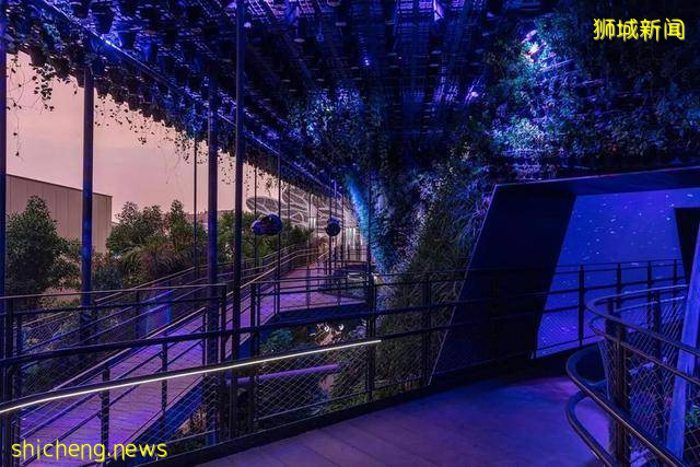 迪拜世博会新加坡展馆：自然之城，展示自然、培育、未来 