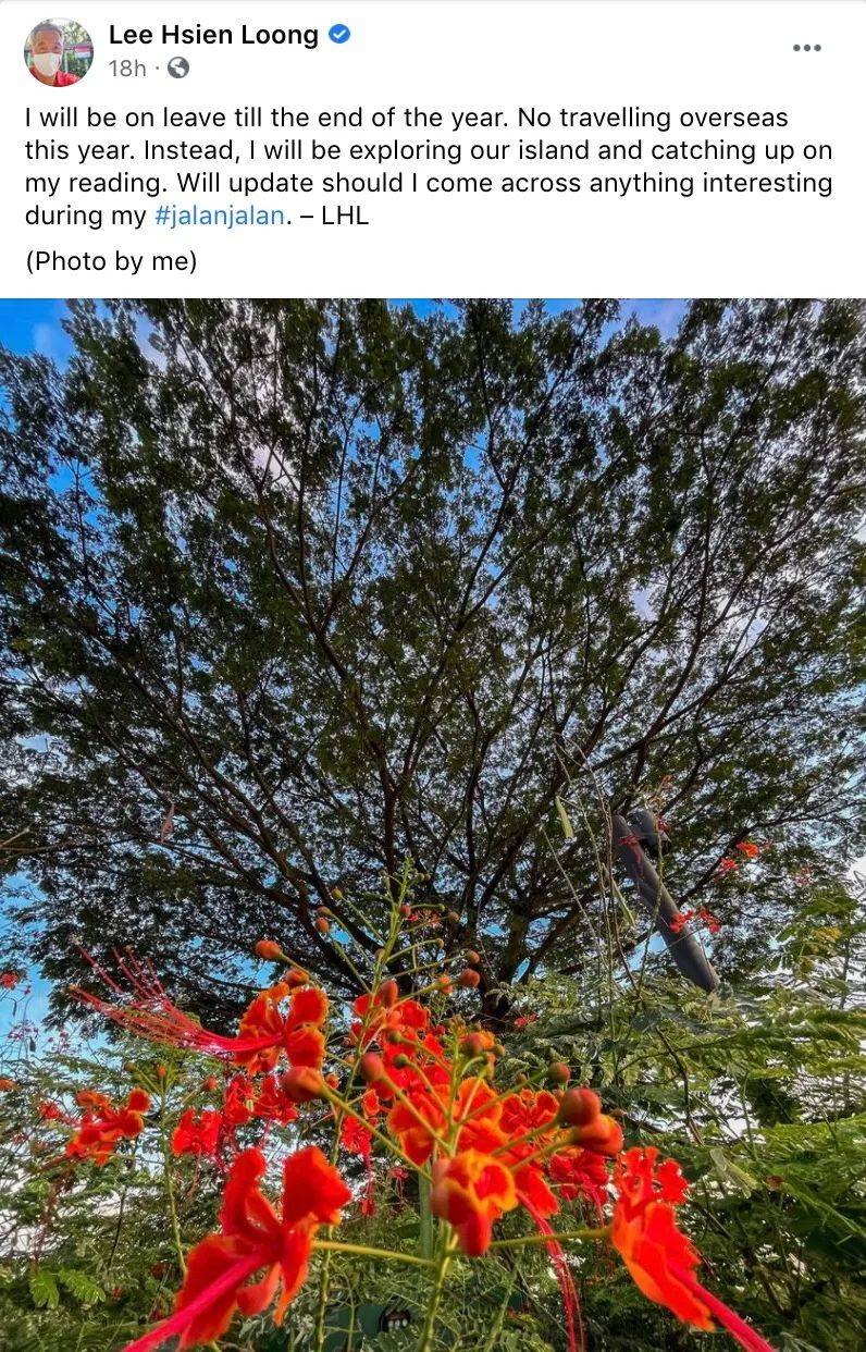 2020年,新加坡发生的11个奇葩小事儿