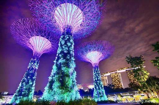 新加坡剧场中的“华语”