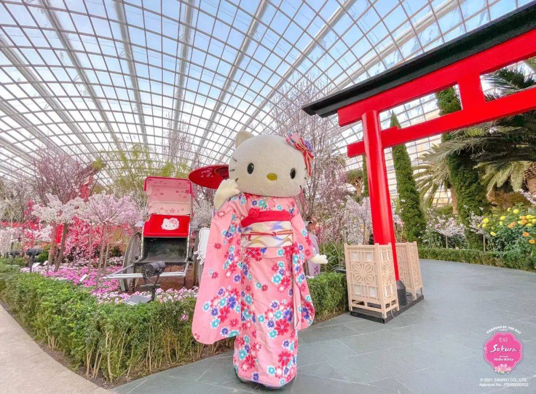 听说你周末又不知道去哪里玩了