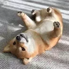 "在新加坡医院做了个小手术,错漏百出,我差点就原地去世了……"