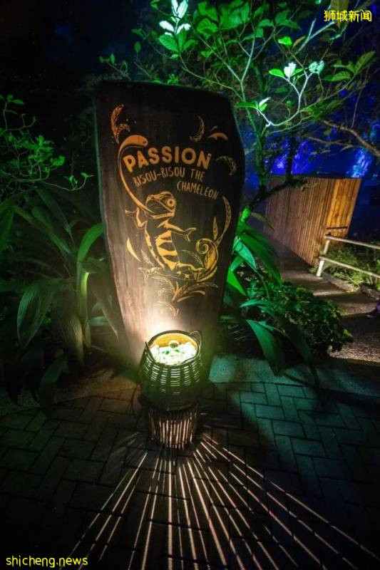 新加坡動物園沉浸式多媒體夜行體驗“RAINFOREST LUMINA”|CAAPA周末分享!