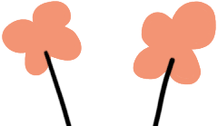 必看，事关S-AEIS考试