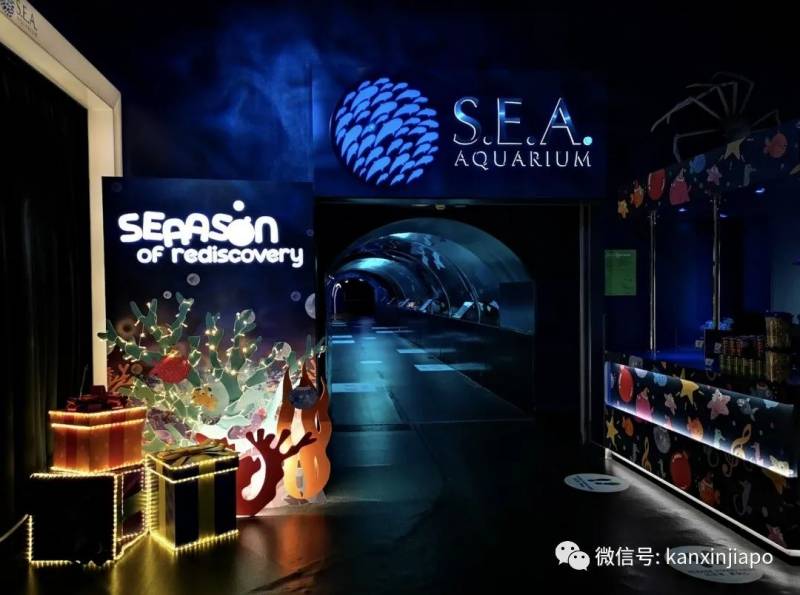 年末假期,教你如何在新加坡找“雪花”、小黃人和聖誕老公公