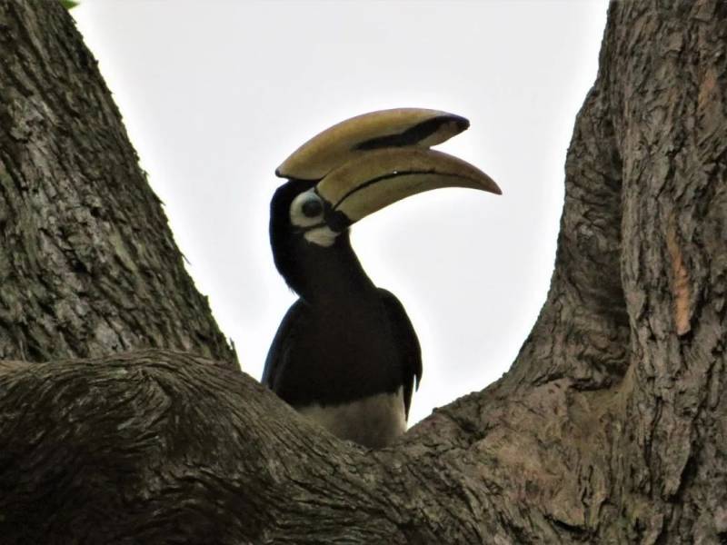 觀鳥、陡坡、嬉水、看夕陽,13條新加坡最美親子騎行路線