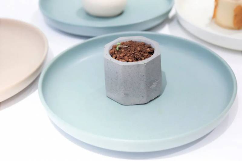 狮城美味 !隐秘的角落第二弹——不容错过的好店