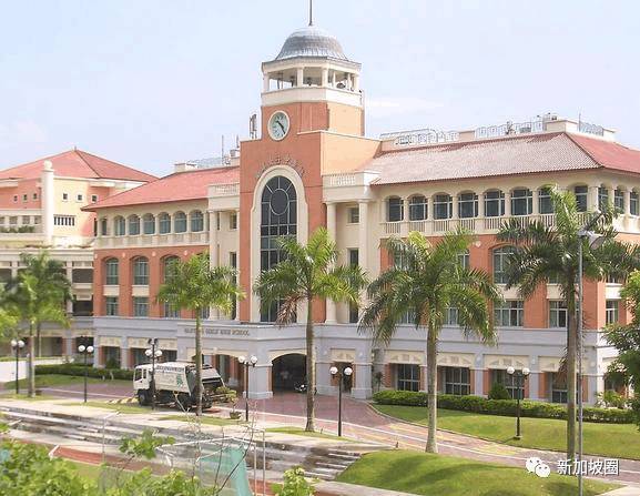 视频|观察：新加坡小学生们一天的生活