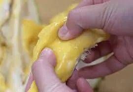 榴梿季到!泰國和馬來西亞的榴梿誰家的最好吃