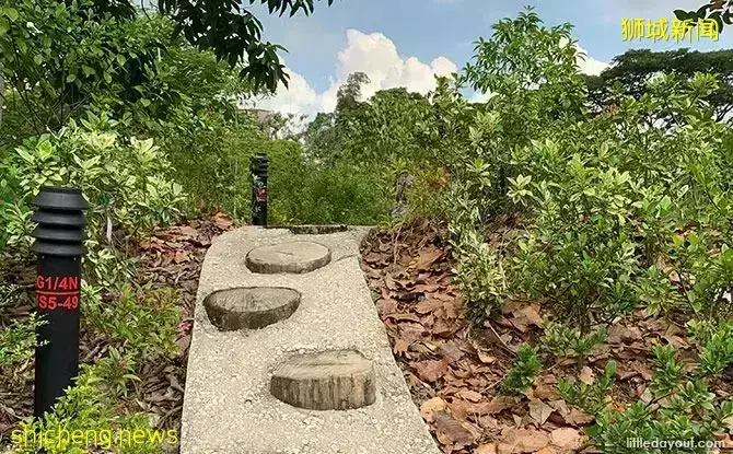 免費！新加坡最適合娃的公園，蝴蝶迷宮、沙灘小灣、瀑布、滑梯秋千