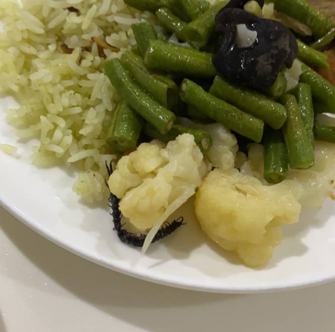 太恶心健康餐居然“加菜”