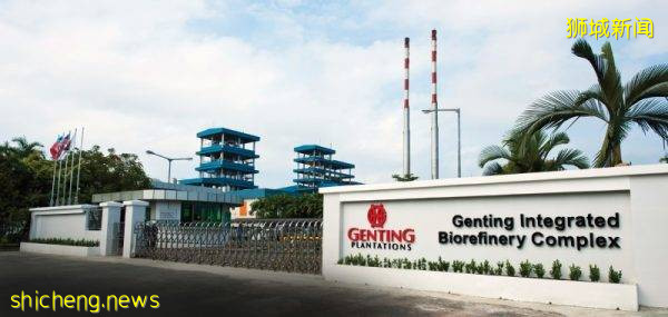 云顶种植宣布投资新加坡AI公司