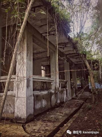 花式慶萬聖,陰森恐怖的探險之地,你敢挑戰嗎