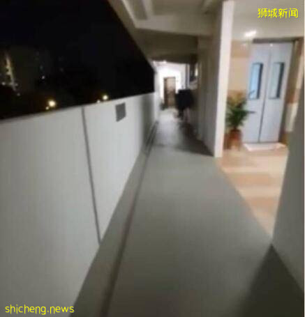 新加坡組屋變“客廳”？有點格局！養雞場、小叢林、毛片場