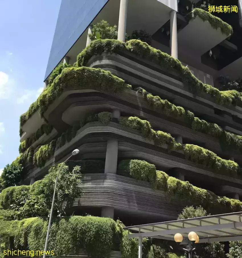 几十张图带你了解别样的新加坡