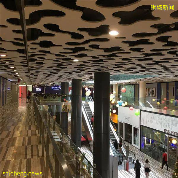 月薪比法學還高！新加坡留學，就讀這一專業了