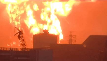 日本今天正式决定排核废水入海!将大规模导致海鲜变异、人癌变!新加坡和中国网友怒了