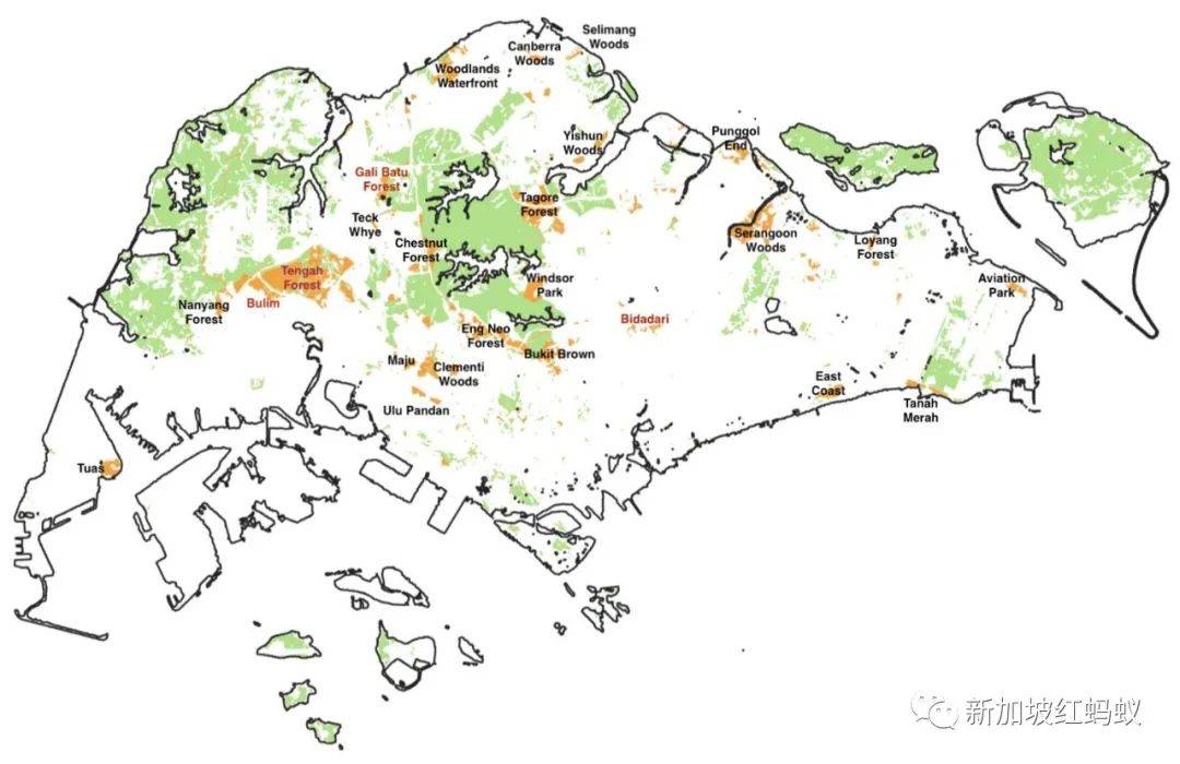 新加坡這片森林被標記爲住宅用地　四天內超過3萬人簽名請願留住森林