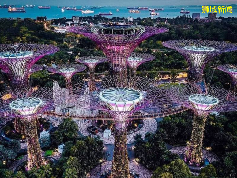 新加坡和香港，去哪讀書性價比最高