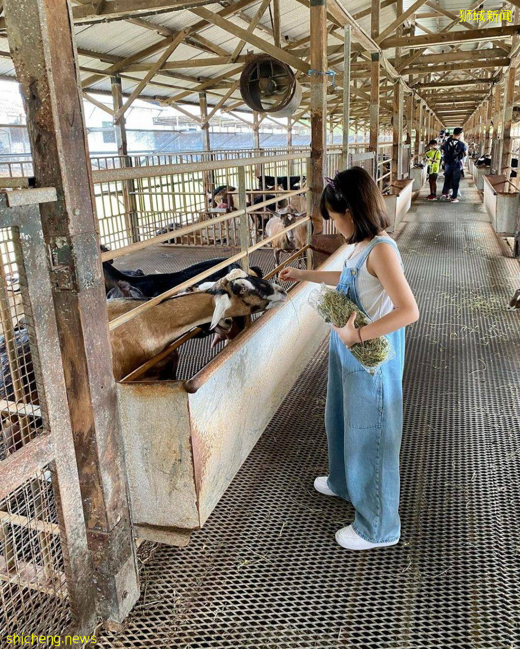盘点本地好玩+有趣的农场体验‼有机栽培+木工手作+Ins风小花园、圆一个都市田园梦🍃 