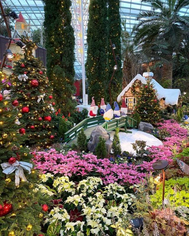 濱海灣花穹聖誕展🎄 歐洲城堡、聖誕花卉、巨型雕塑！Poinsettia Wishes 票價從S$8起