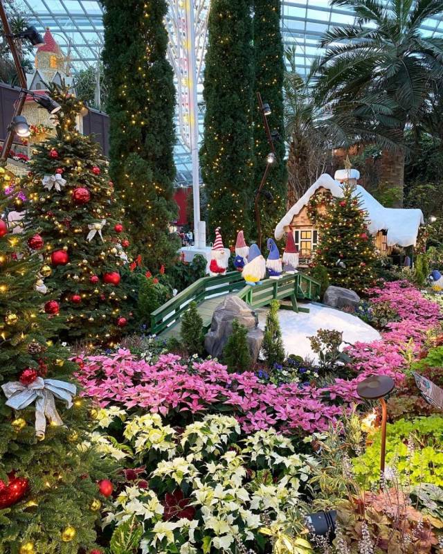 濱海灣花穹聖誕展🎄 歐洲城堡、聖誕花卉、巨型雕塑!Poinsettia Wishes 票價從S$8起
