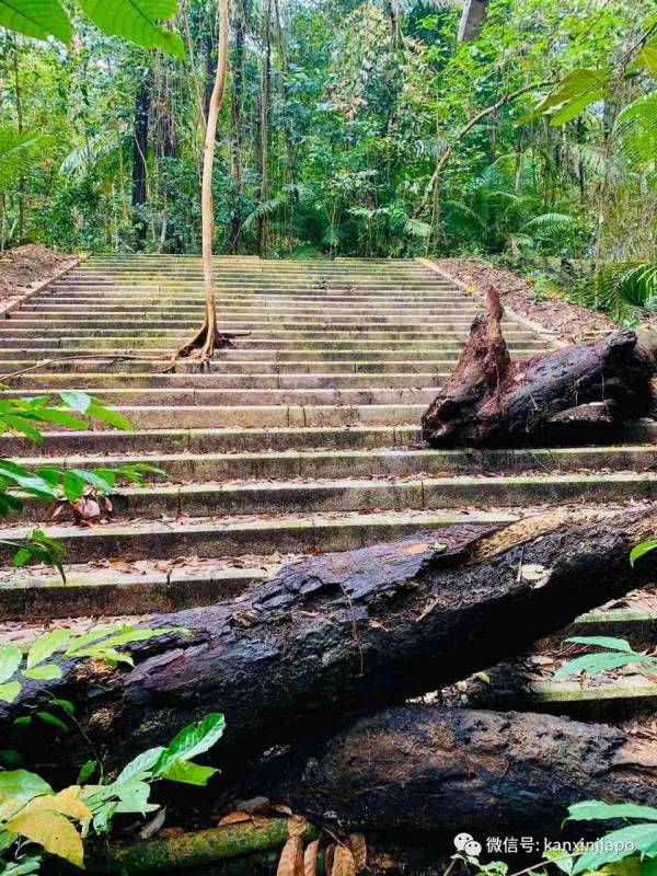勇闯麦里芝被遗忘的神社,狂风暴雨下惊险求生