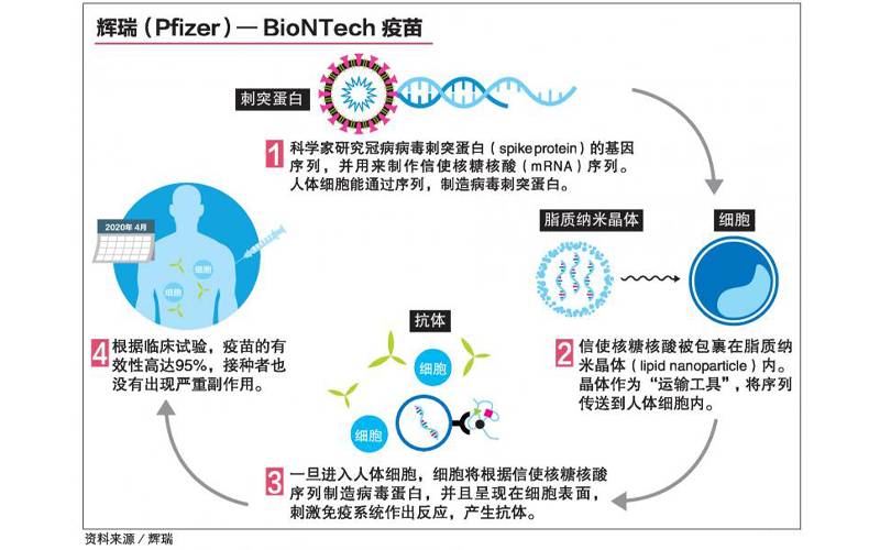 新加坡地勤服务公司成立专门团队,卸载冠病疫苗运往冷冻仓储分秒必争