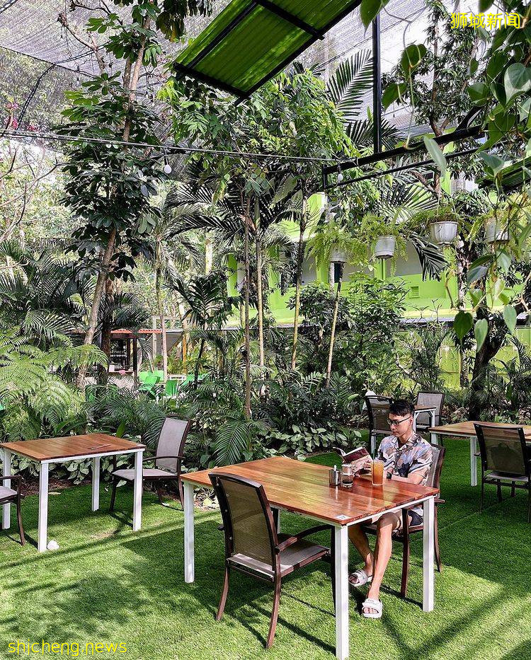 花园森系越南餐厅Lucky Saigon Cafe🌿仿佛在丛林中就餐！经典越式美食必不可少😎 