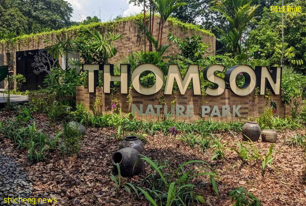 【周末去哪】室外遊泳池開放、海上遊艇、6月外賣折扣碼、日式拉面買1送1