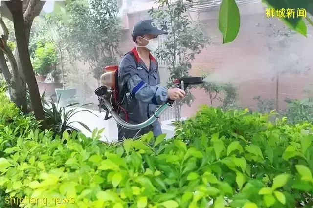 发达的新加坡，竟然随处可见小动物！新加坡冷知识（精选集）