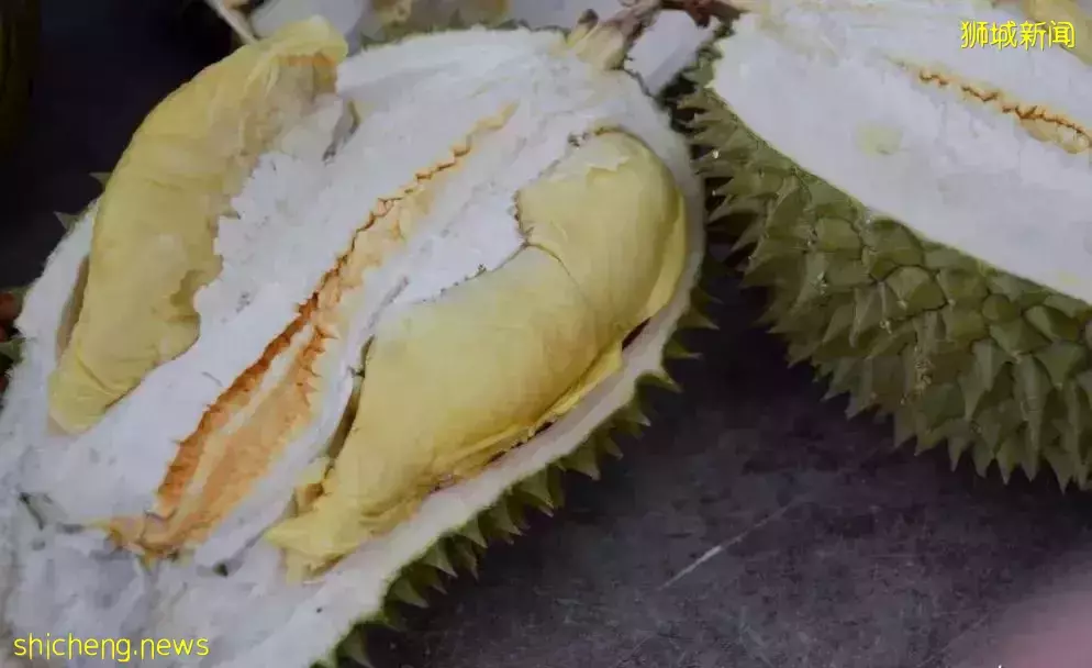 新加坡 榴梿季來襲