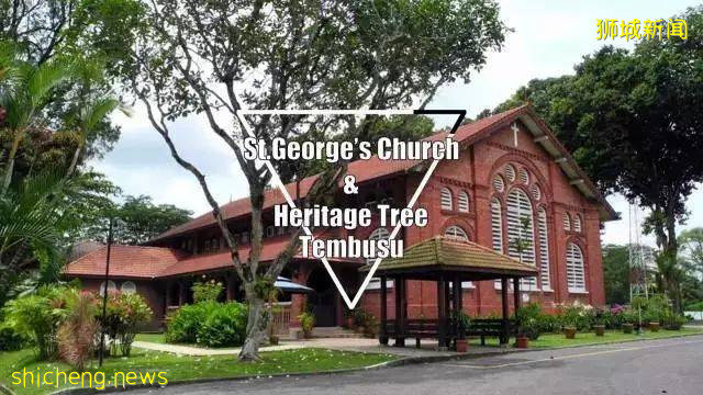 新加坡的“这座山”,可不是用来爬的