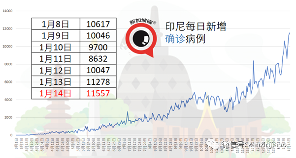 今增30 | 抗体检测出现阳性反应！俩WHO专家无法入境武汉