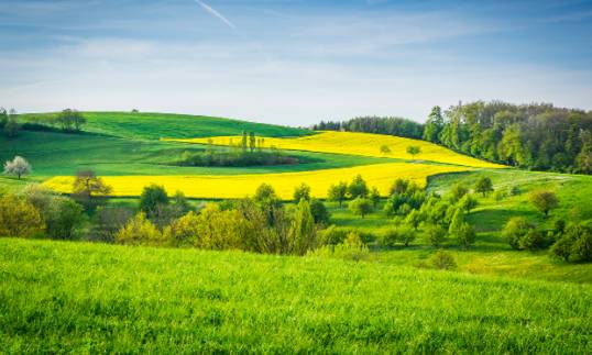 玩在獅城 周末一起去大自然裏野餐——新加坡最適合野餐的十大自然公園