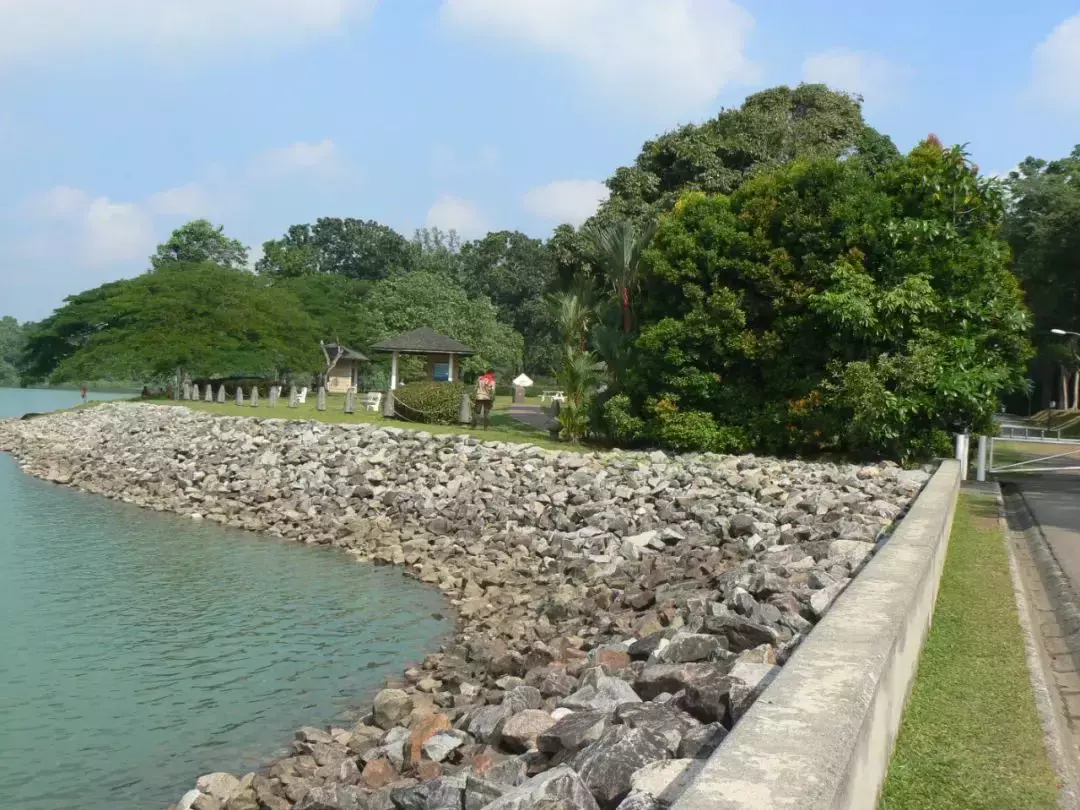 新加坡人深夜排队，翻新一年多的网红景点又开了