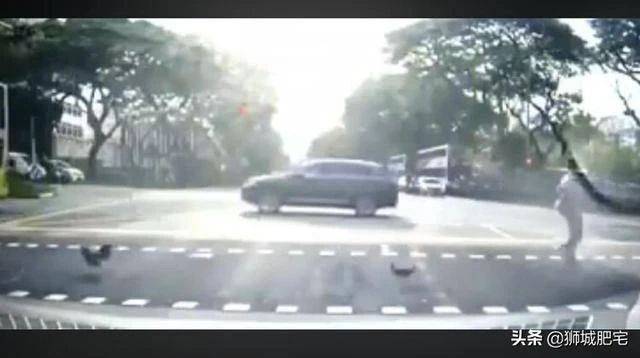 在新加坡过马路,原来还有这么多小细节