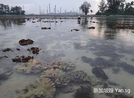 全览！教你如何玩新加坡的六大离岛