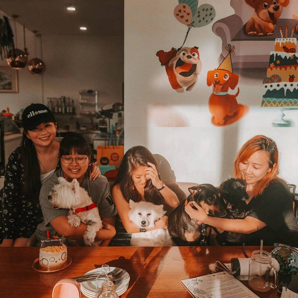 汪星人咖啡厅🐶 满屋萌犬的“Menage Cafe”边吃饭边耍狗!去找毛小孩解解压、透透气😍