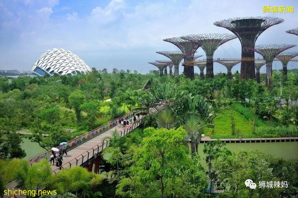 “花園城市”背後的故事，看完才知道新加坡這個小島國有多努力