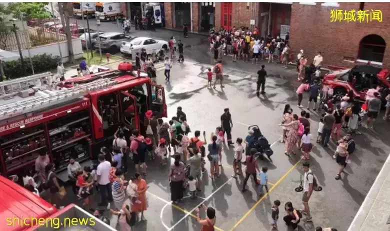 新加坡“护照蛋糕”刚走红引来大麻烦，差点把自己送监狱