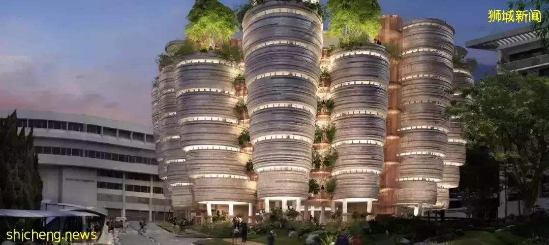 我勸你,千萬別來新加坡