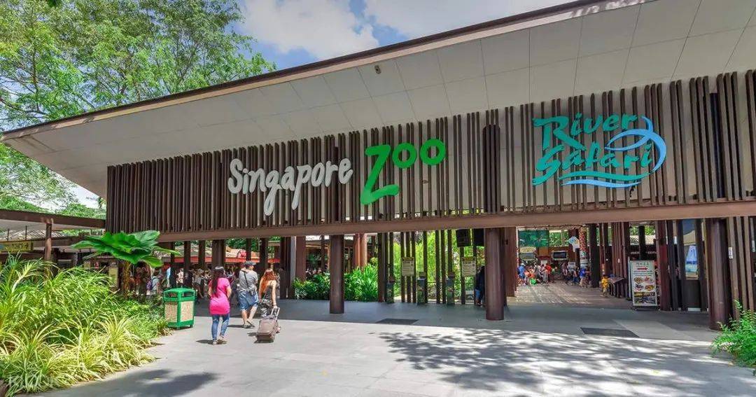 新加坡助力大禮包來襲，免費發環球影城/動物園門票啦